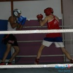 Boks ponovo u Boru posle 25 godina