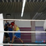 Boks ponovo u Boru posle 25 godina