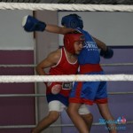 Boks ponovo u Boru posle 25 godina