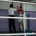 Boks ponovo u Boru posle 25 godina