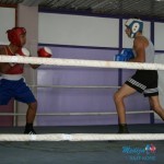 Boks ponovo u Boru posle 25 godina