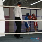 Boks ponovo u Boru posle 25 godina