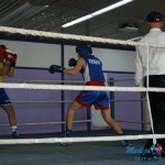 Boks ponovo u Boru posle 25 godina