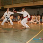 KARATE: Nakajama Kup 2013.