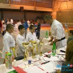 KARATE: Nakajama Kup 2013.