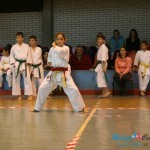 KARATE: Nakajama Kup 2013.