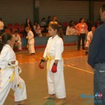 KARATE: Nakajama Kup 2013.