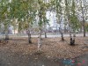 Grad Bor, 20. novembar 2013.
