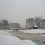 Pao prvi sneg na garavi Bor Pao prvi sneg na garavi Bor