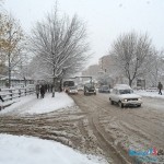 Pao prvi sneg na garavi Bor Pao prvi sneg na garavi Bor