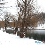 Zabelelo se Borsko jezero Zabelelo se Borsko jezero