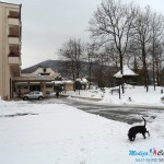 Zabelelo se Borsko jezero Zabelelo se Borsko jezero