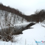 Zabelelo se Borsko jezero Zabelelo se Borsko jezero