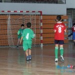 Mini-maksi  fudbalska liga 