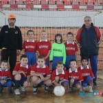 Mini-maksi  fudbalska liga 