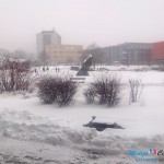 Bor: Sneg pada 24 časa, oprez u vožnji