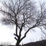 Stara planina: Jesenji motivi u sred zime