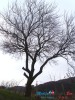 Stara planina: Jesenji motivi u sred zime
