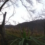 Stara planina: Jesenji motivi u sred zime Stara planina: Jesenji motivi u sred zime