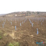 Stara planina: Jesenji motivi u sred zime Stara planina: Jesenji motivi u sred zime