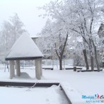 Sneg okovao Novi centar