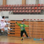 Dani rukometa 2014. u Boru Dani rukometa 2014. u Boru