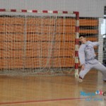 Dani rukometa 2014. u Boru Dani rukometa 2014. u Boru