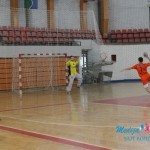 Dani rukometa 2014. u Boru Dani rukometa 2014. u Boru