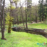 April na Borskom jezeru i u Brestovačkoj banji