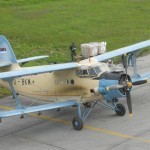 Bor: Tretman gubara u 2014. godini