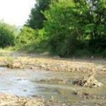 Slatina: Tribina povodom Dana planete Zemlje i zaštite životne sredine