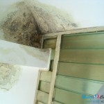 Bor: Pokraden bakarni krov na zgradi Železničke stanice, prokišnjava na sve strane