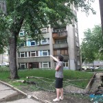 Pala grana u ulici Albanske spomenice