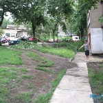 Pala grana u ulici Albanske spomenice