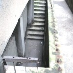 Pala grana u ulici Albanske spomenice