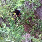 VIDEO: Stotine planinara na Tupižnici