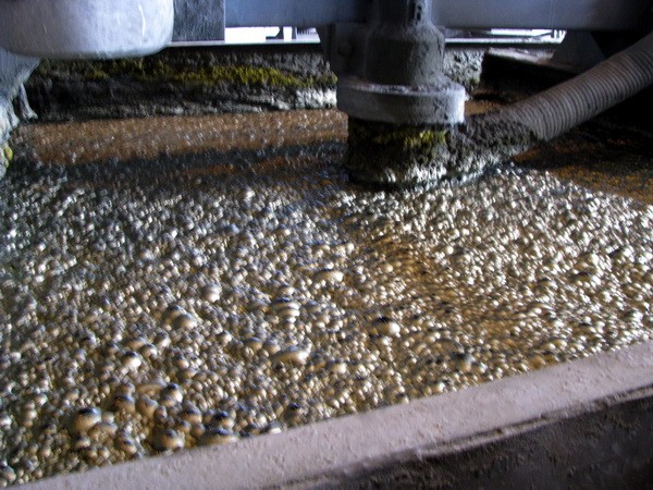 Reč stručnjaka: U novoj Flotaciji rundika „Veliki Krivelj“ svakog meseca ode u nepovrat 1,5 miliona dolara. To je katastrofa!