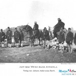 O Cincarima Timoka, o jednoj izložbi