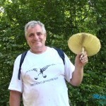 Foto: Potok Ružana, zelena oaza blizu Bora