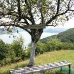 IZBORI U MAJDANPEKU: „ŽUTI“ Popović i borski Spaskovski – zajednički protiv SNS?