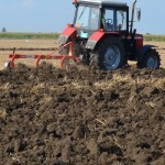 SETVA PŠENICE 2014/2015. 