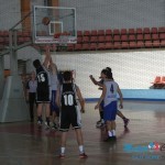 Košarka : Zicer savladao Negotin 69:60