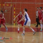 1. liga košarkašice: Bor savladao Srbobran u gostima 1. liga košarkašice: Bor savladao Srbobran u gostima