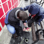 BOR: Klizalište radi, za Novu godinu - besplatno