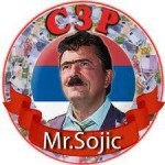 U Šojić gradu na početku 2015.