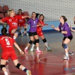 Pančevke prejake za ekipu Bora