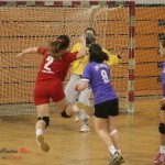 Pančevke prejake za ekipu Bora