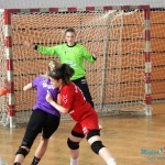 Pančevke prejake za ekipu Bora