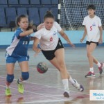 Rukometna liga mlađih kategorija