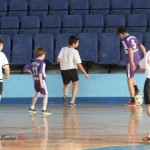 Mini-maxi fudbalska liga Mini-maxi fudbalska liga